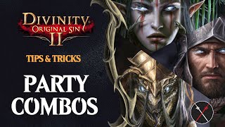 Divinity Original Sin 2 Party Combinations Guide Magic Physical And Mixed [upl. by Sasnett]