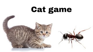 Ant on the screen to make fun with cat  cat games [upl. by Conte]