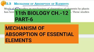 Class 11 BiologyCh12 Part6Mechanism of absorption of elementsStudy with Farru [upl. by Nnylsor613]