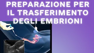 Preparazione per il trasferimento degli embrioni 2023 [upl. by Sirromal]