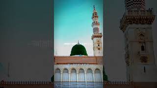 shortvideo islamicmotivationstudio islamicstatus foryou subscribe channel [upl. by Ahsaeit]