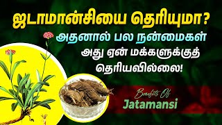 ஜடாமான்சியின் நன்மைகள் மற்றும் பயன்கள்  Health Benefits of Jatamansi  Punarjan Ayurveda Tamil [upl. by Mccollum]