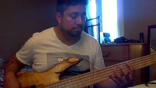 Pupilas de gato Luis Miguel bass cover [upl. by Tiga222]