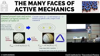 Defect emission and absorption on cones and conical billiards ▸ David Nelson Harvard [upl. by Inaluiak377]