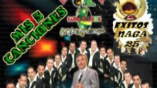 MIS 3 CANCIONESLA ORIGINAL BANDA EL LIMONEXITOS NAGA 25flv [upl. by Ientruoc625]