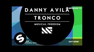 Danny Avila  Tronco Original Mix [upl. by Narra]