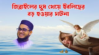 mahmudabadi waz  shahidur rahman mahmudabadi  শাহিদুর রহমান মাহমুদাবাদী gibriel and iblish  hd [upl. by Ailes]