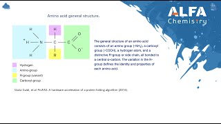 Introduction to Amino Acids Structure Classification and Functions [upl. by Pattin297]