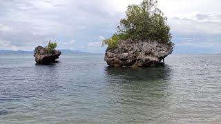 San Jacinto Masbate hidden paradise island FULL Episode [upl. by Gardie306]