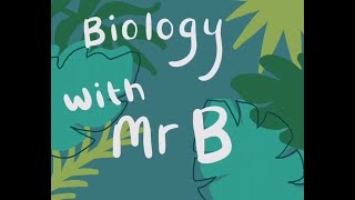 Cell Structure revision video [upl. by Adranoel]