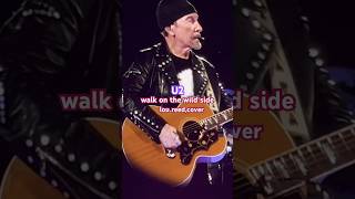 U2／WALK ON THE WILD SIDElou reedcover2024 [upl. by Arretahs]