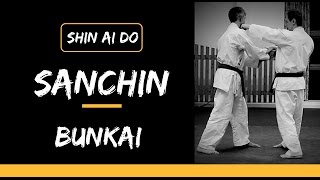 Sanchin Kata Bunkai [upl. by Komara351]