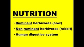 ADAPTATIONS FOR NUTRITION [upl. by Yursa]