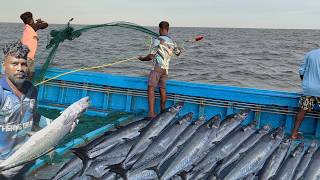 Amazing  Third Day We Caught Lot of Seer Fishs in Deep Sea Fishing [upl. by Aisor]