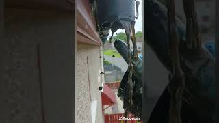 Nice Downpipe Unblock funny guttercleaning drainage youtube [upl. by Hamlet]