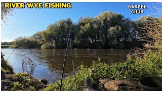 RIVER WYE FISHING BARBEL amp CHUB DAY 3 [upl. by Oglesby]