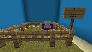 Minecraft Tutorial  How to teleport to your pets [upl. by Nolos]