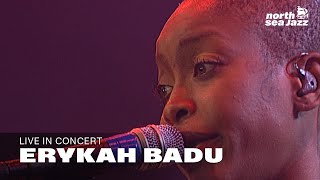 Erykah Badu  Kiss Me on My Neck Hesi HD  North Sea Jazz 2001 [upl. by Ecinom420]