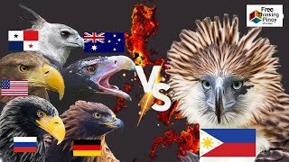 PHILIPPINE EAGLE VS GOLDEN EAGLE  TOP 5 LARGEST EAGLE [upl. by Genia]