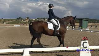 043D Lauren Crabtree on Derroon Diamond CCI1 Short Dressage Twin Rivers Ranch Sept 2024 [upl. by Nohtanhoj]