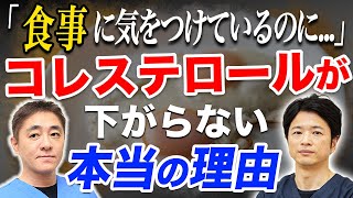 【コレステロール値が気になる方必見】手軽に取り入れられる食事を胃腸のプロが徹底解説します。対談企画 教えて平島先生 秋山先生 No259 [upl. by Assilym]