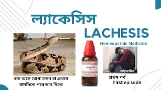 Lachesis  ল্যাকেসিস  Materia Medica  Learn Lachesis easily [upl. by Yl]