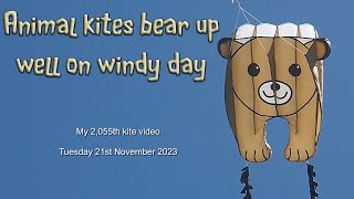 Animal kites bear up well on windy day [upl. by Annaitsirhc]