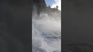 Biggest waterfall in Europe Rhine falls ⛲ shorts [upl. by Myrwyn]