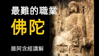 雜阿含經講解62 最難的職業 海市蜃樓 陽焰 Daily buddhist practice buddhism audiobook a level buddhism [upl. by Maxa701]