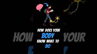 How Does Your Body KNOW What To Do shorts [upl. by Suoirad]