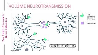 NEUROSCIENCE  WHAT IS VOLUME NEUROTRANSMISSION [upl. by Nosahc]