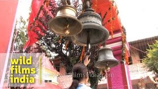 Hindu devotees ringing temple bells in Nainital [upl. by Reld109]