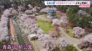 【令和のサクラ】弘前公園「１００回目のさくらまつり」は中止閉鎖に [upl. by Ylnevaeh]