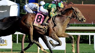 CHANCER MCPATRICK wins the G1 Hopeful Stakes [upl. by Airdnua689]