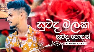 Suwada Malaka  සුවද මලක සුවද පොදක්  TikTok Hitz  Cover Voice Of Achintha Rusiru [upl. by Vokaay454]