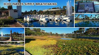 Echo Park  Nature’s gift to Angelenos  Walking Tour  4k [upl. by Bryana]