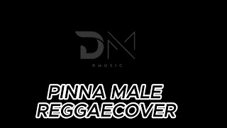 Pinna Male reggae cover by DM [upl. by Oderfliw818]