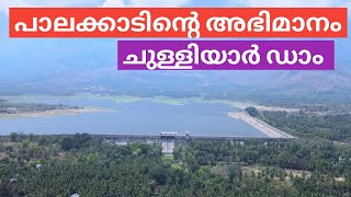 കേരളത്തിലെ ഏറ്റവും വലിയ എർത്ത് ഡാംChulliyar Dam Palakkad [upl. by Klenk]