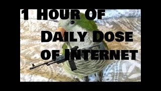 1 Hour of Daily Dose of Internet [upl. by Jade]