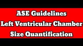 Left Ventricular Chamber Size Quantification 2023 ASE Guidelines Echocardiography [upl. by Eissehc]