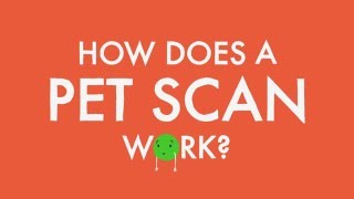 How does a PET scan work [upl. by Offen]