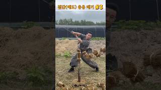 진검베기  짚단예도 응용 베기 3 straw swordsmanship cuttingskills martialarts korea sword [upl. by Carolin461]