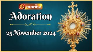 🔴 LIVE 25 November 2024 Adoration 1100 AM  Madha TV [upl. by Novelia5]