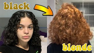 going from BLACK to BLONDE  WITHOUT BLEACH  Part 1 [upl. by Parke515]