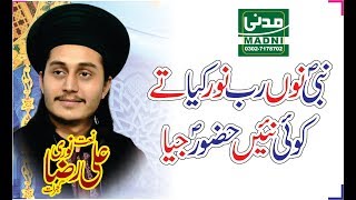 Nabi Nu Rub Noor Kehya  Ali Raza Noori  Mehfil E milad e mustafa  madni sound [upl. by Elexa743]