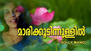 Marikoodinnullil  മാരിക്കൂടിന്നുള്ളിൽ  Unplugged Vertion by Solly Manoj [upl. by Erdnad]