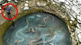 Workers Spot Giant Snake Pit  You Won’t Believe What They Found Inside [upl. by Zaneski197]