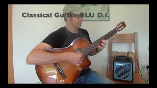 Guitar Amp DEMO Henriksen BLU multiinstrument DI test [upl. by Aisila]