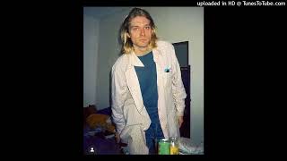 Nirvana  Sappy Live Italy 1994 [upl. by Assened]