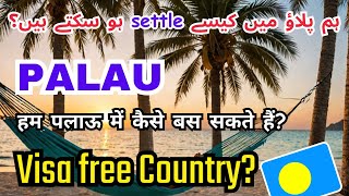 How to Settle in Palau as a Foreigner  Ride and Fun palau [upl. by Sarat]